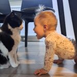 Nema razloga za strah