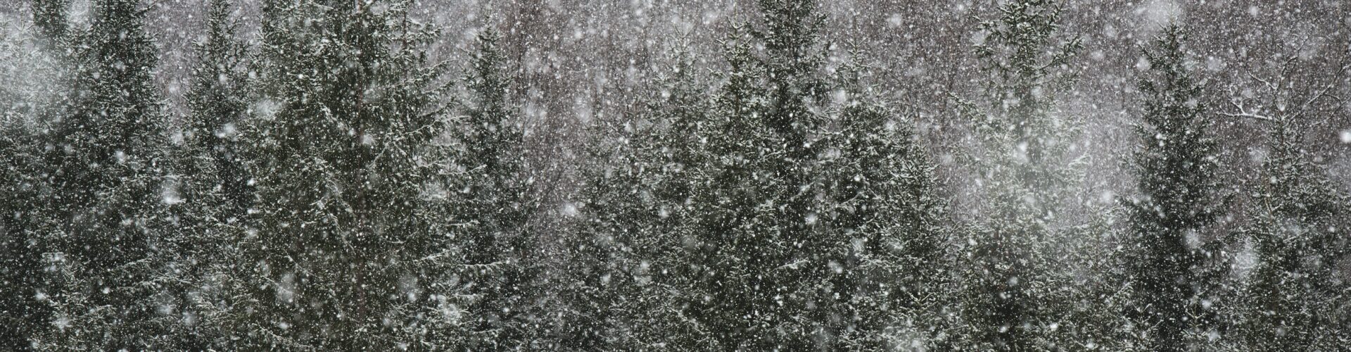 Foto Unsplash/Federico Bottos