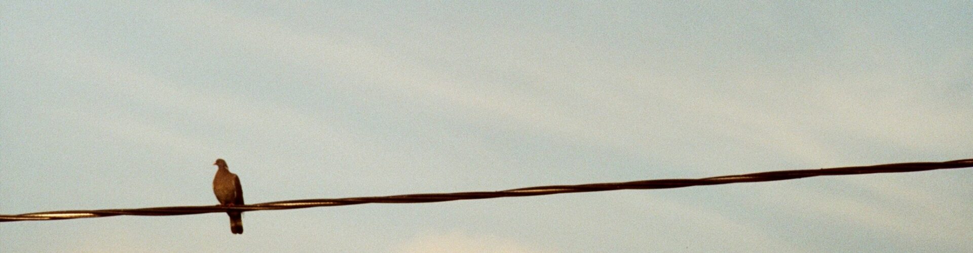 Foto Richard Stachmann/Unsplash