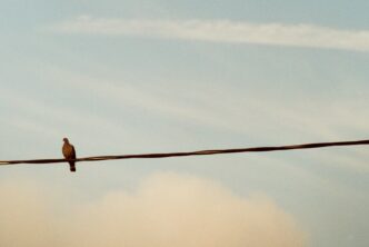 Foto Richard Stachmann/Unsplash