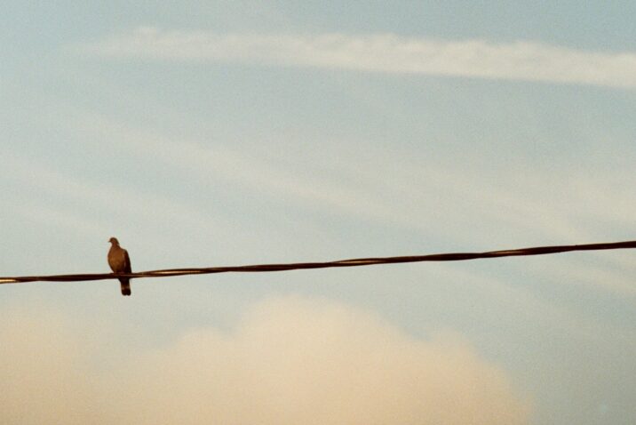 Foto Richard Stachmann/Unsplash